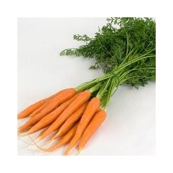carottes nouvelles botte